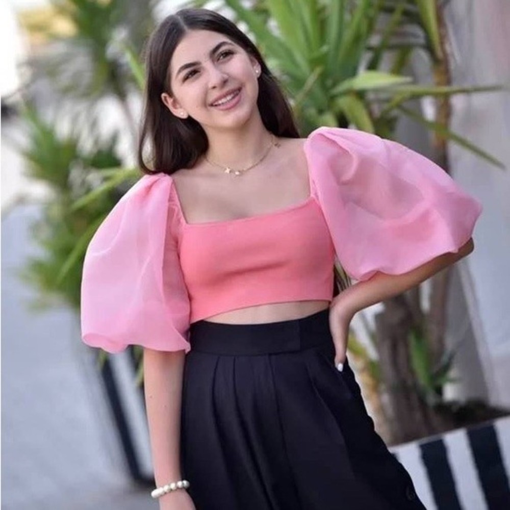 Zara Puff Sleeve Crop Top Pink Sheer Organza SOLD - Picture 4 of 16